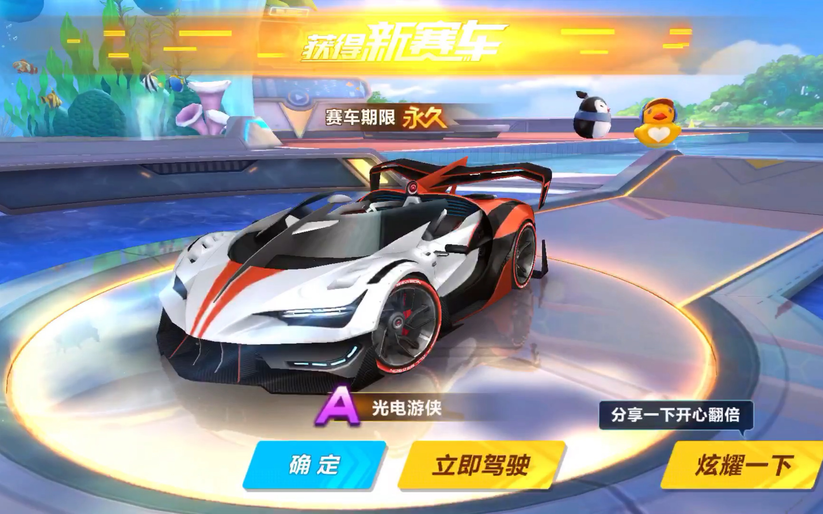 球迷的体验 球迷的体验